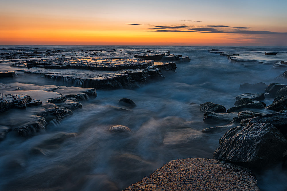 Turimetta Study No. 1