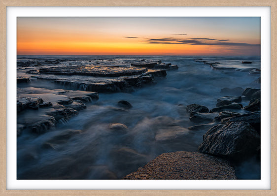 Turimetta Study No. 1