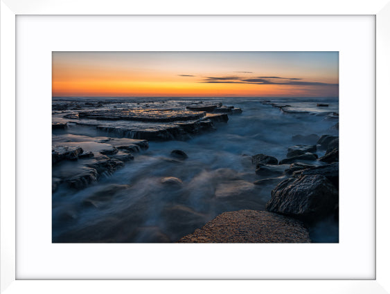 Turimetta Study No. 1