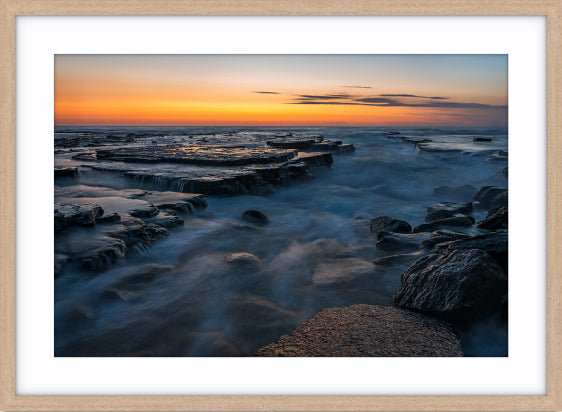 Turimetta Study No. 1