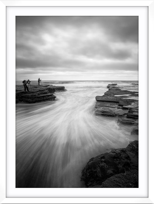 Turimetta Dreaming